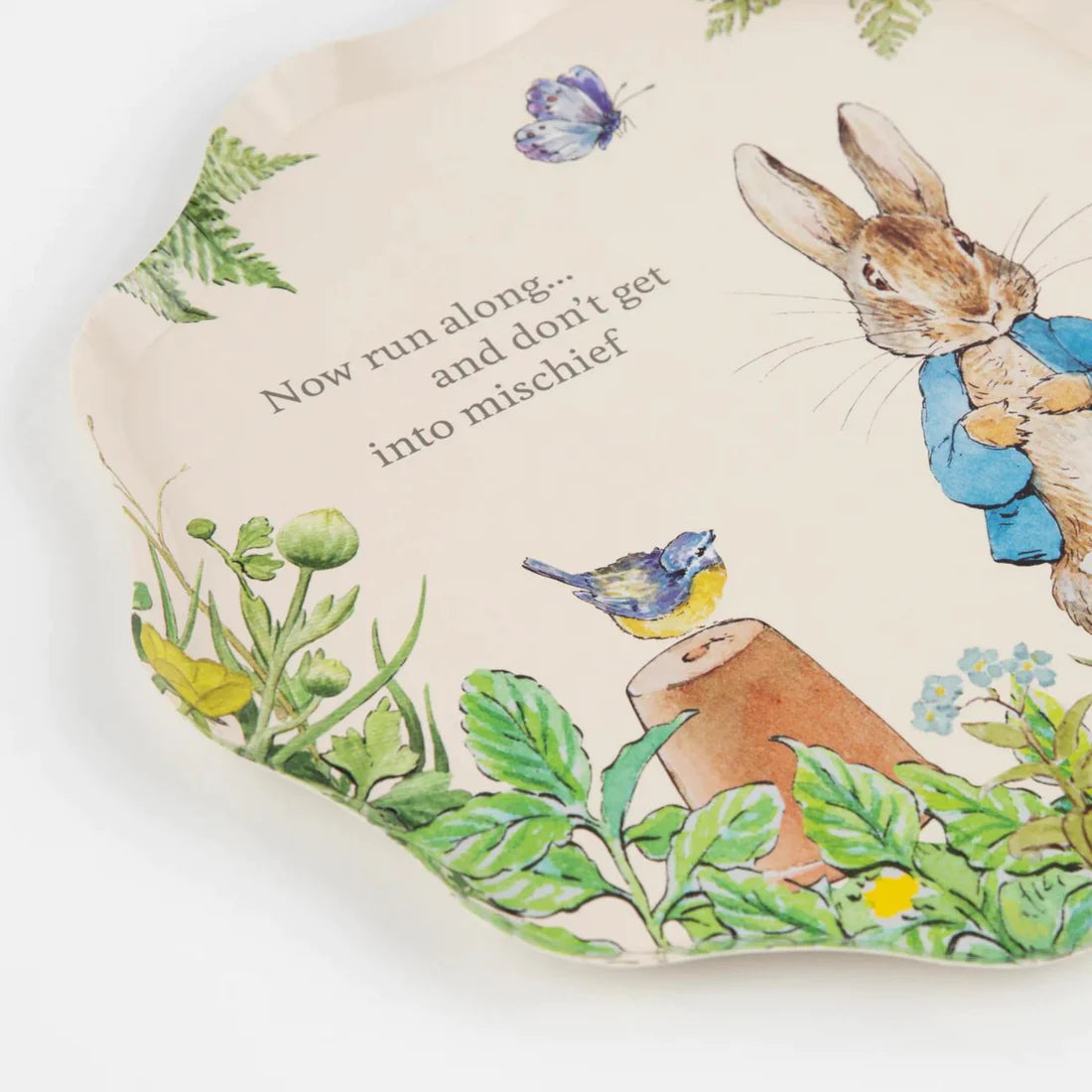 Peter Rabbit In The Garden Side Plates